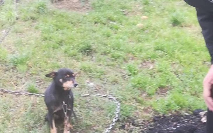 Zbiórka 10 lat, padaczka, łańcuch i ja - zdjęcie główne