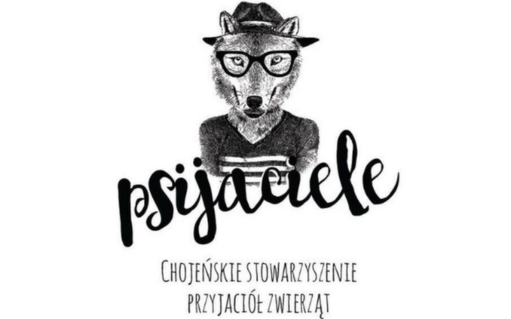 Zbiórka Schronisko w Chojnie - zdjęcie główne