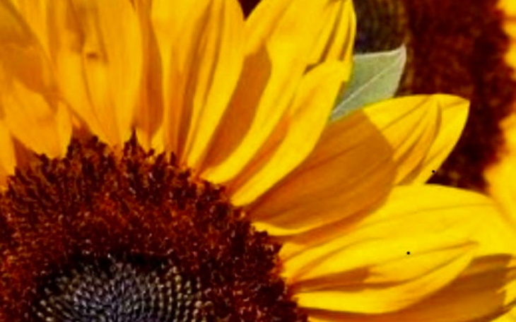 Zbiórka Ja i mąż - zdjęcie główne