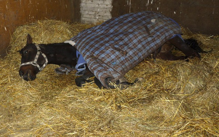 Zbiórka ...bo nie chciała biegać! - zdjęcie główne