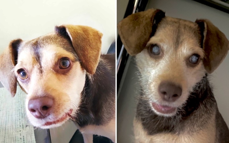 Zbiórka Pomóż Tymkowi widzieć - zdjęcie główne