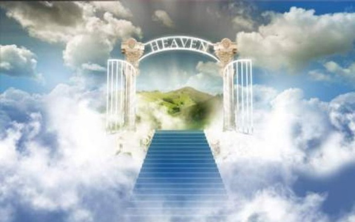 Zbiórka Książka marzenie - zdjęcie główne