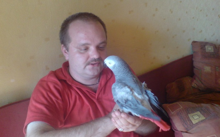 Zbiórka odzyskanie naszych zwierząt - zdjęcie główne