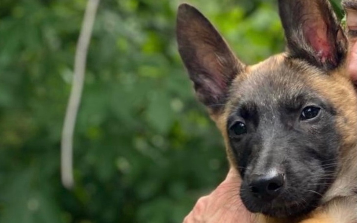 Zbiórka chce biegac, skakac, bawic sie - zdjęcie główne