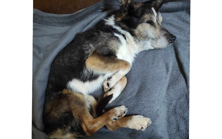 Zbiórka Rezonans dla Jaya - zdjęcie główne