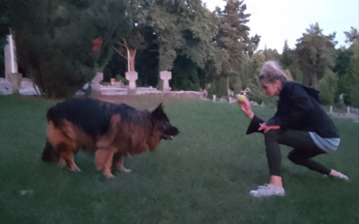 Zbiórka Pomoc dla owczarka Rokusia - zdjęcie główne