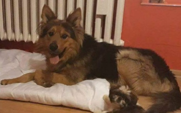 Zbiórka Uratujmy życie Mroczkowi - zdjęcie główne