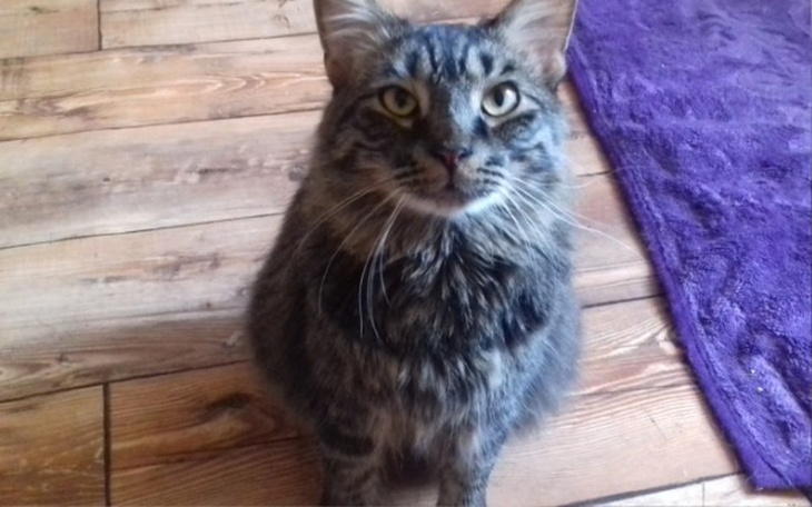 Zbiórka badania Karmelka - zdjęcie główne