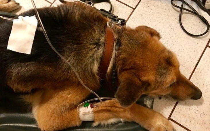 Zbiórka Na ratunek staruszkowi Eliotowi - zdjęcie główne