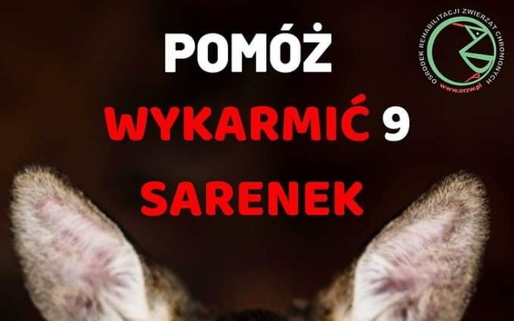 Zbiórka Na jedzenie i lekarstwa - zdjęcie główne