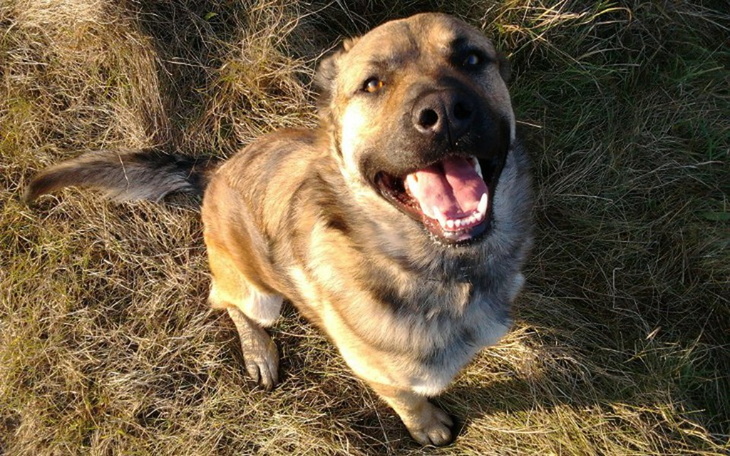 Zbiórka Zbieramy dla Boryska na dializę - zdjęcie główne