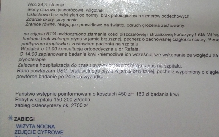 Zbiórka Pilna Operacja Łapy dla Kotki - zdjęcie główne