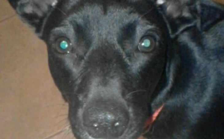 Zbiórka Walczmy o zdrowie Nikity - zdjęcie główne