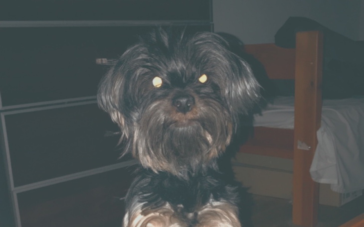 Zbiórka Leczenie Lunki proszę o pomoc - zdjęcie główne