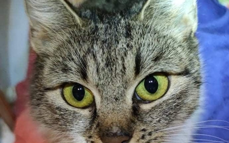 Zbiórka Walka- Giardia i Cryptosporidium - zdjęcie główne