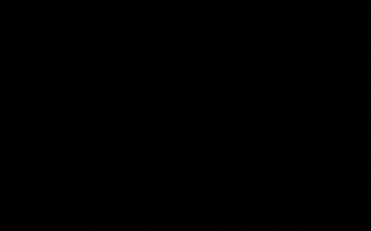 Zwierzęta w potrzebie, które czekają na nowy dom.