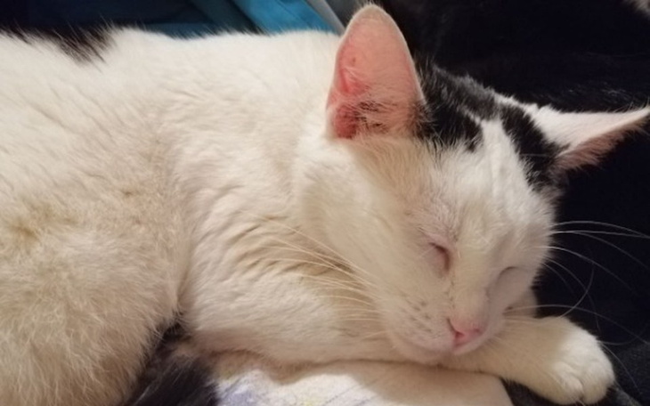 Zbiórka Podarujmy lepsze życie Sindi - zdjęcie główne