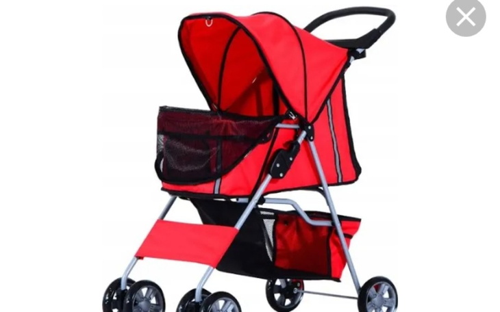 Zbiórka Na wózek dla kota - zdjęcie główne