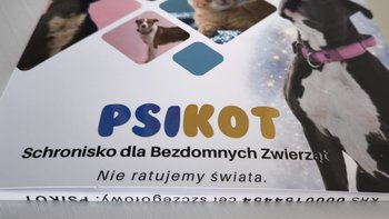 Zbiórka Pomóż nam dokończyć hasło 🐾 - miniaturka zdjęcia