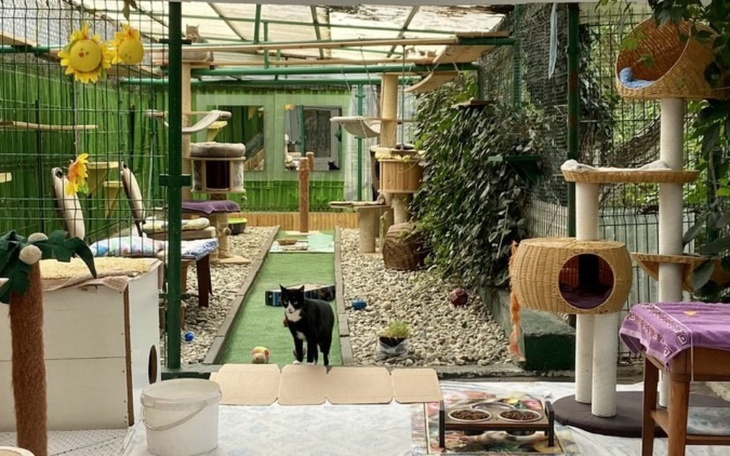 Zbiórka Prąd dla Przytuliska pani Ani - zdjęcie główne