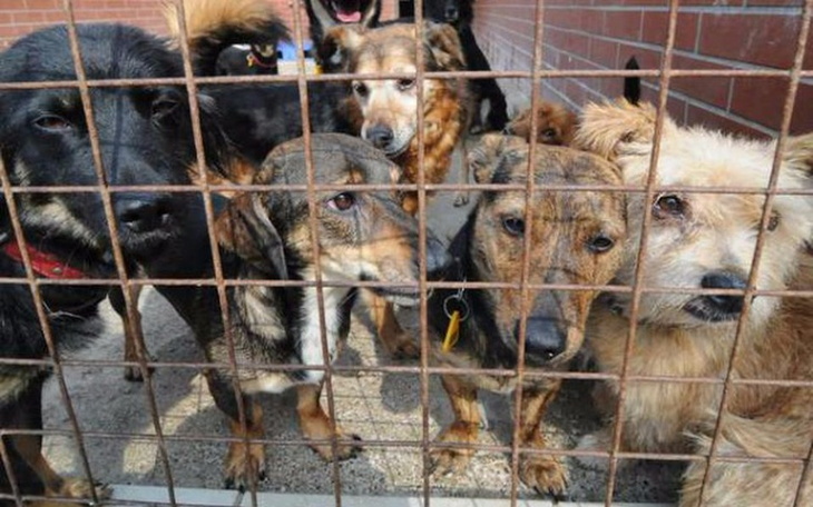 Zbiórka Potrzebna sala zabiegowa! - zdjęcie główne