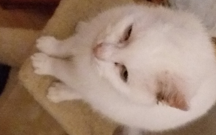 Zbiórka Nowotwór wrócił - zdjęcie główne