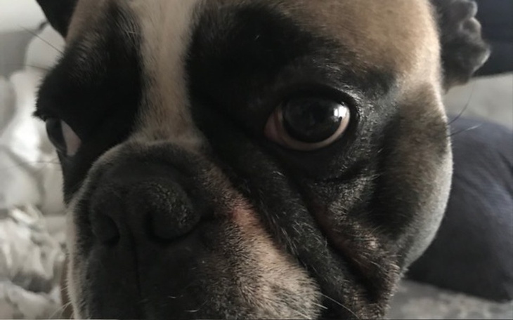 Zbiórka Zaliczenie z Angilskiego - zdjęcie główne