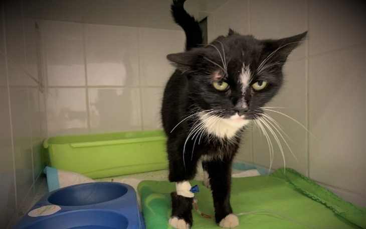 Zbiórka Miriam - zdjęcie główne