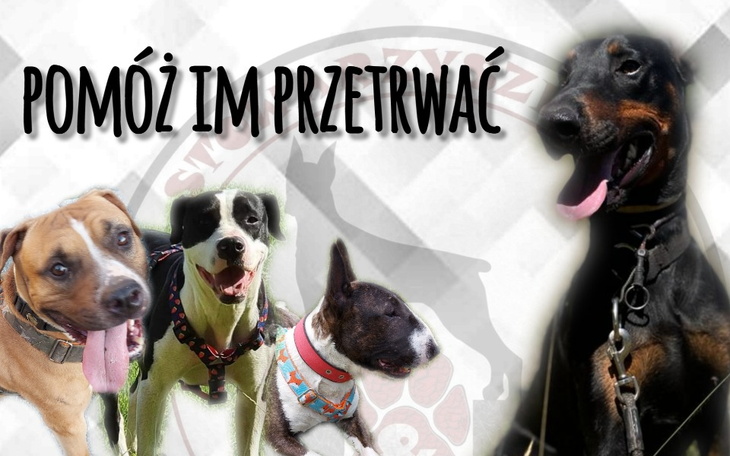 Zbiórka Zaległości za pomoc i bytowanie - zdjęcie główne