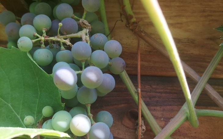 Zbiórka Na nowy komputer dziękuję. - zdjęcie główne