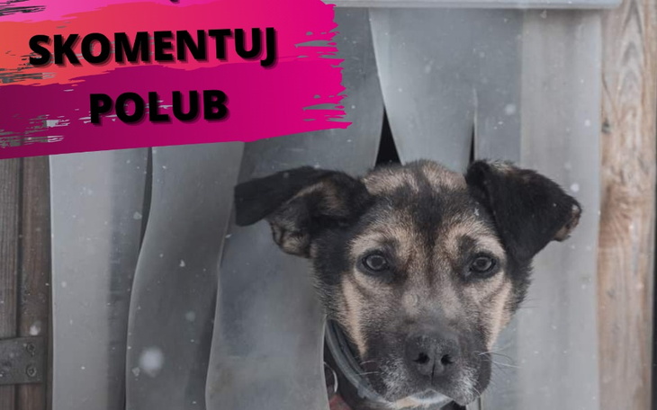 Zbiórka Długi Roxy - zdjęcie główne