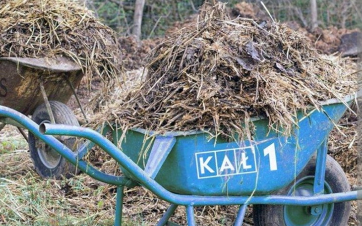 Zbiórka Putin na taczkę - zdjęcie główne