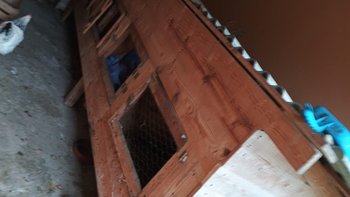 Zbiórka Rzeczy, nie życia - miniaturka zdjęcia