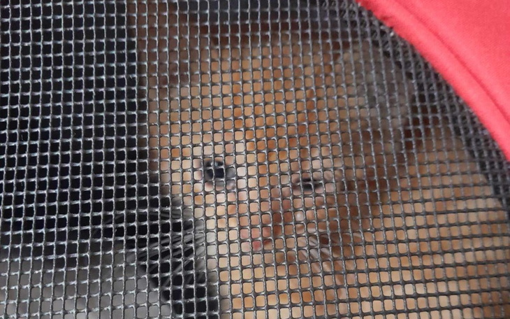 Zbiórka Niech przestanie boleć... - zdjęcie główne