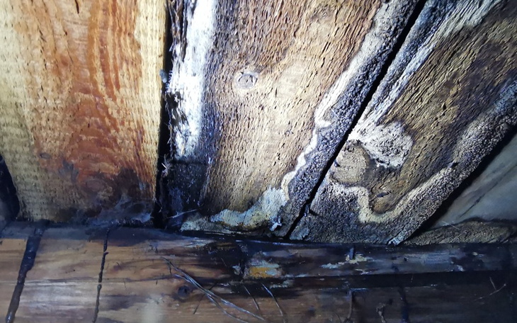 Zbiórka Renowacja starego dachu - zdjęcie główne