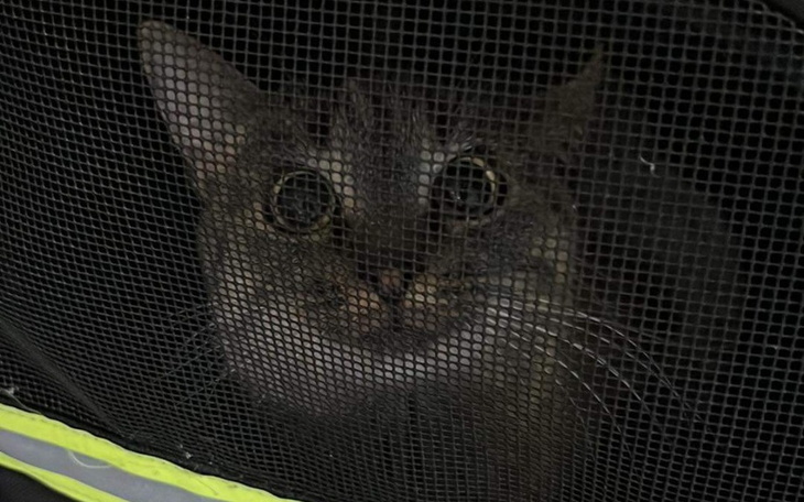 Zbiórka Walczymy o Kirę - zdjęcie główne