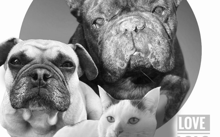 Zbiórka Love Lolo dla Fundacji - zdjęcie główne