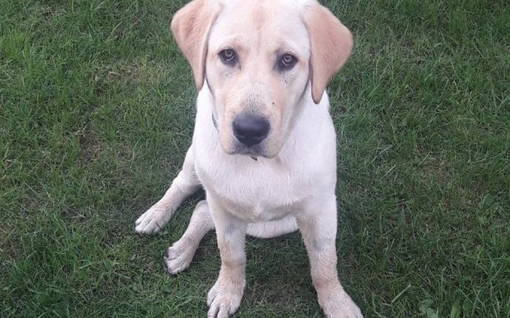 Zbiórka Hero- szansa na zdrowe życie - zdjęcie główne