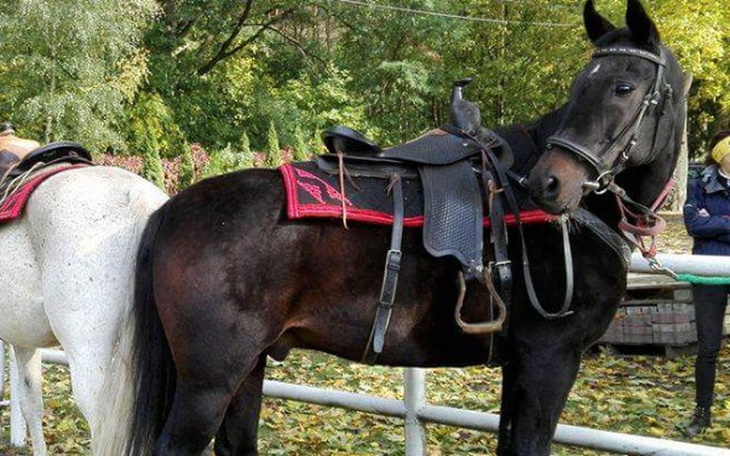 Zbiórka Leczenie Kuby - zdjęcie główne