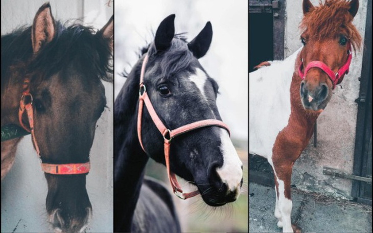 Zbiórka Żeby ich życie było łatwiejsze - zdjęcie główne