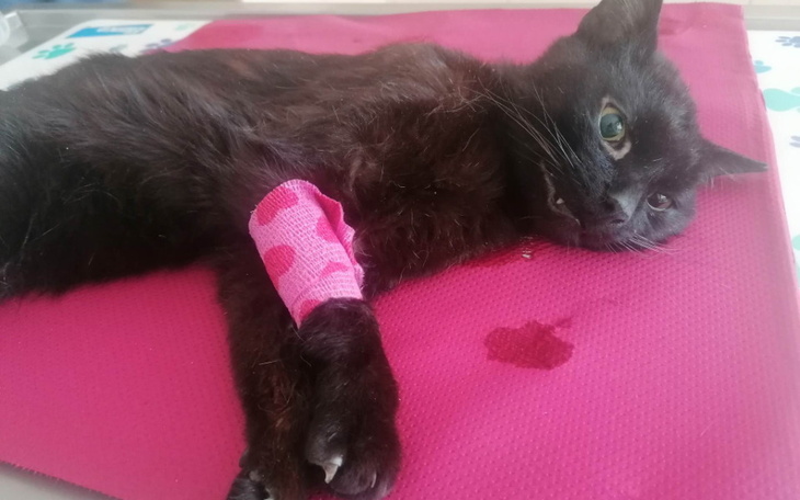 Zbiórka Jasiu z wypadku prosi o pomoc - zdjęcie główne