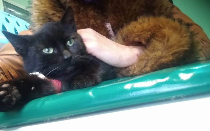 Zbiórka Na Nekro spod śmietnika - zdjęcie główne