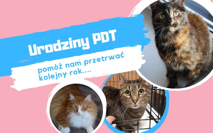 Zbiórka przetrwaniePDT - zdjęcie główne