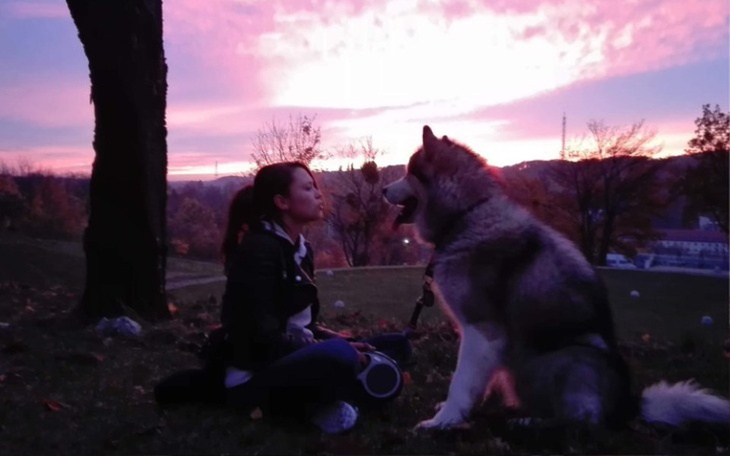 Zbiórka Ostatni ratunek dla orsa! - zdjęcie główne