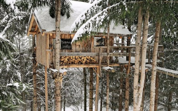 Zbiórka Dom na drzewie - zdjęcie główne