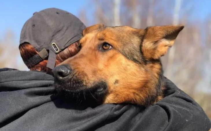 Zbiórka Ostatnia szansa Foresta - zdjęcie główne
