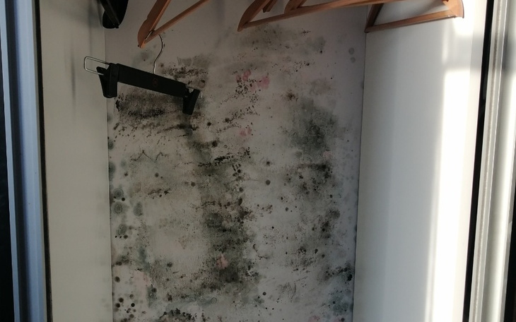 Zbiórka Mieszkanie dla ciężarnej - zdjęcie główne