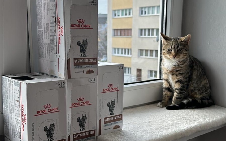 Zbiórka Karma dla MiauKotków - zdjęcie główne