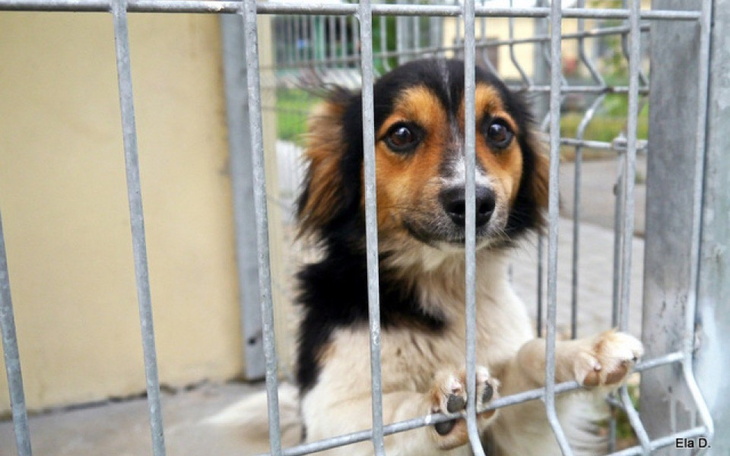 Zbiórka Potrzebne pieniadze - zdjęcie główne