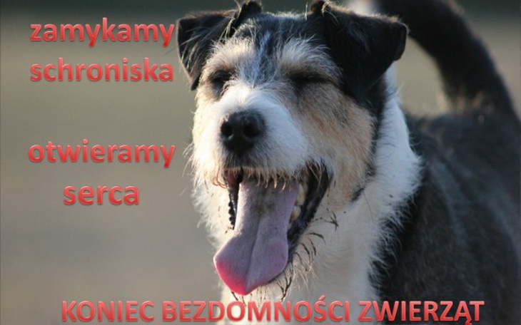 Zbiórka Międzynarodowa Konferencja 2017 - zdjęcie główne